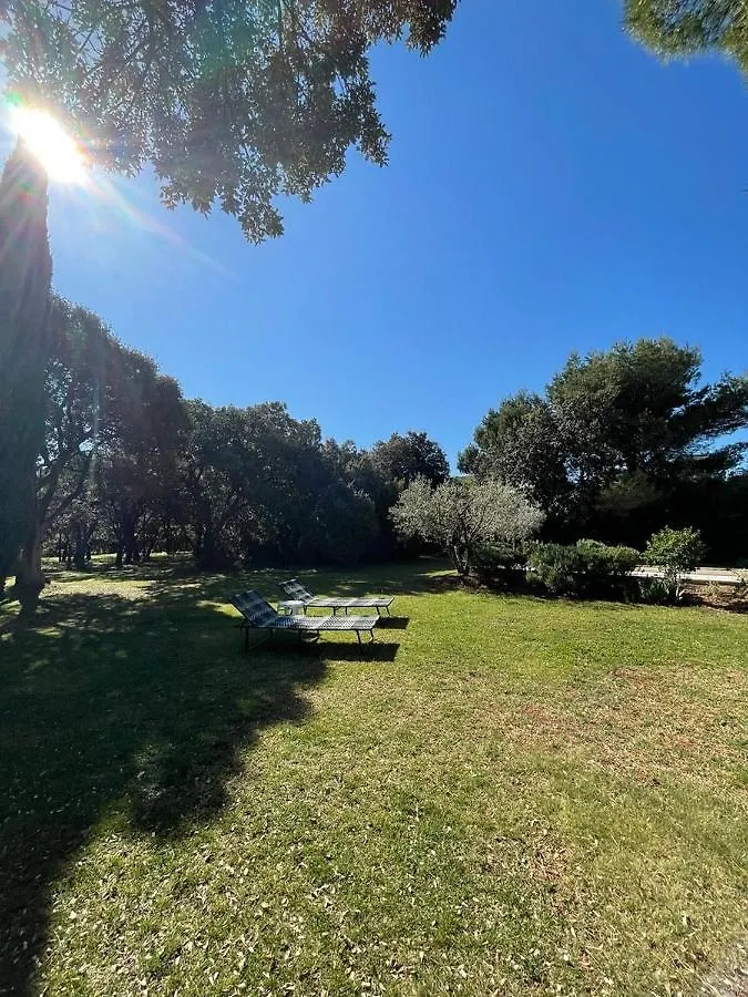 Bed & Breakfast Maison Les Chenes Eygalieres
