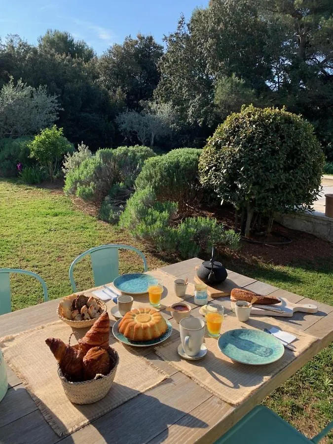 Bed & Breakfast Maison Les Chenes Eygalieres  France