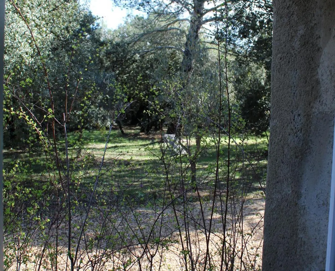Bed & Breakfast Maison Les Chenes Eygalieres  France